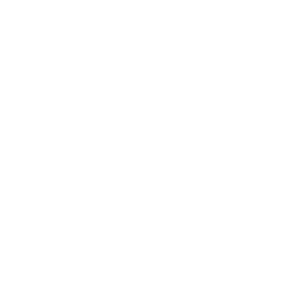 digital-video2