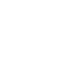 telephone